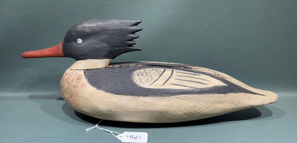 CHINCOTEAGUE VA. MERGANSER