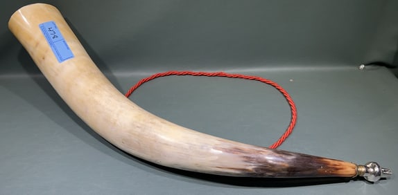 LARGE CATTLE HORN