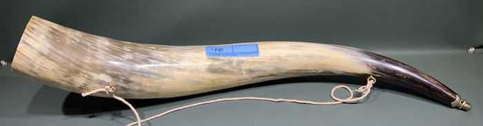 LARGE CATTLE HORN