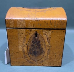 ANTIQUE PAINT DECORATED TEA CADDY