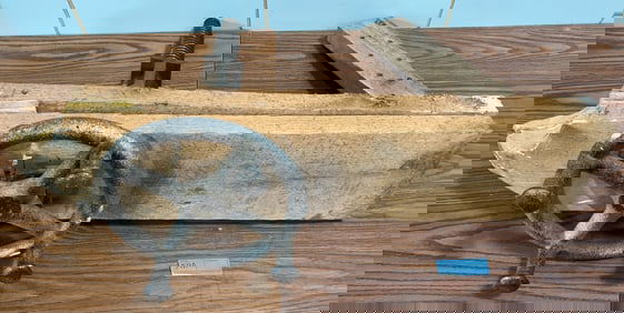 LARGE WORK BENCH VICE