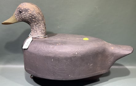 HOLLOW BLACK DUCK