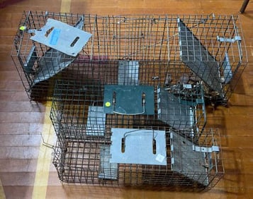 3 LIVE TRAPS