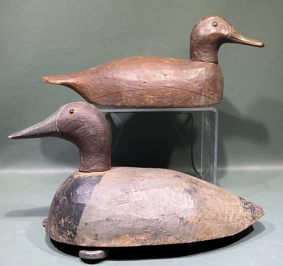 CANVASBACK & BLACK DUCK DECOY: 13"