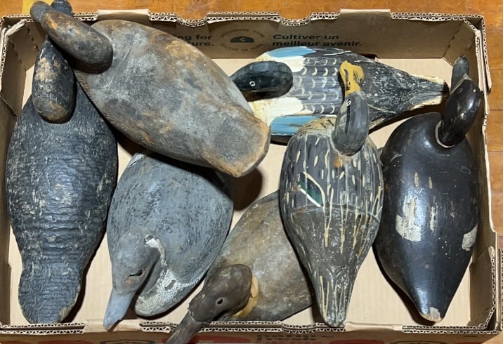 7 VARIOUS DECOYS: ~