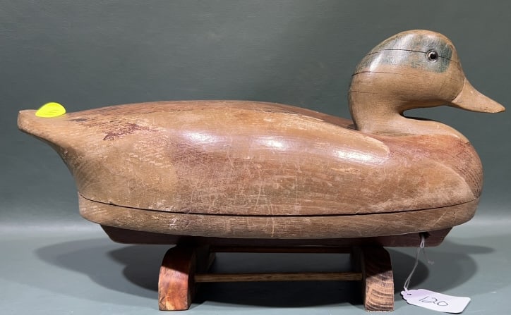 WILDFOWLER WIDGEON DECOY: 13-1/2"