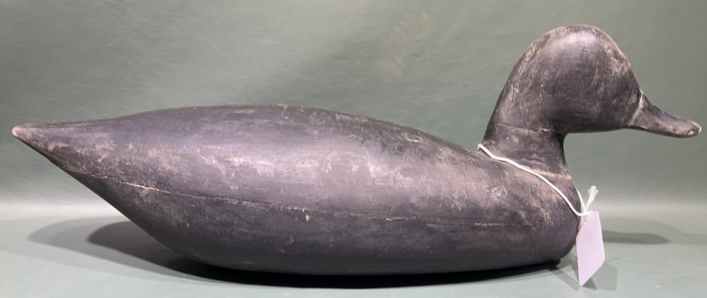 UNKNOWN VIRGINIA BLACK DUCK DECOY: 17"