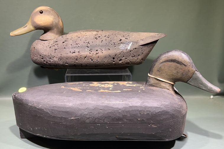 FACTORY BLACK DUCK & COLUMBIA, PA. BLACK DUCK DECO: 21" largest