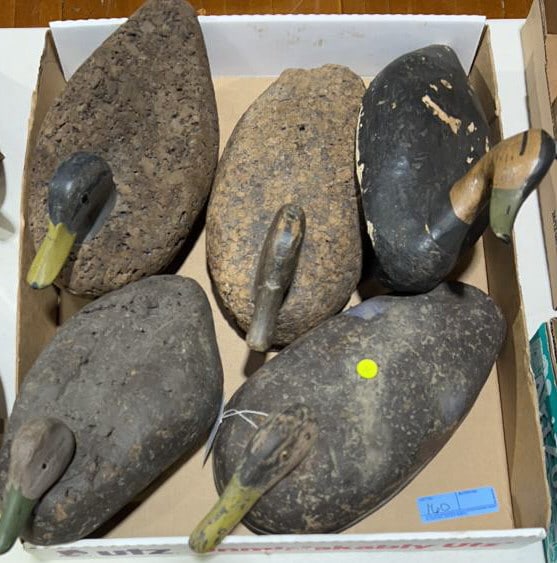 LOT OF 5 PA. CORK BLACK DUCKS DECOYS: 17-1/2" largest