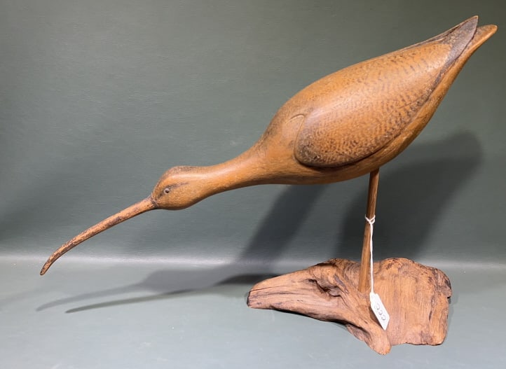"WILLIAM D BELOTO" LONG BILLED CURLEW 2015: 15" x 22"