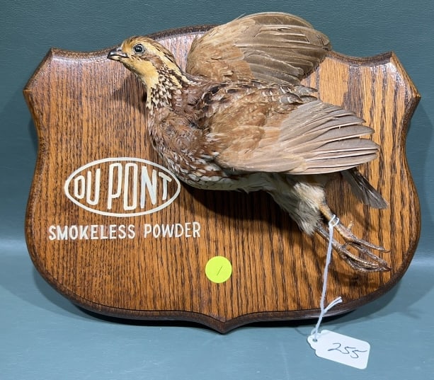 DUPONT SMOKELESS POWDER PLAQUE W/ QUAIL: 11-1/2" x 8"
