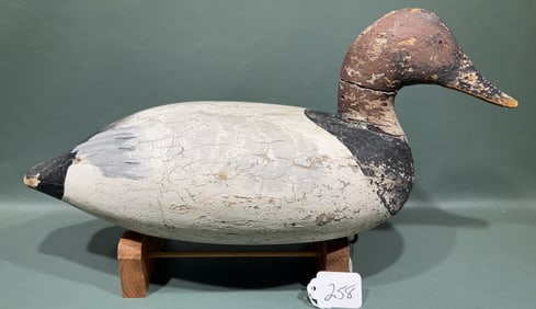 UPPER BAY CANVASBACK DECOY
