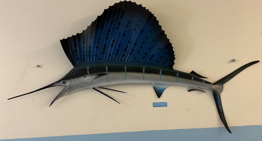 COMPOSITE SAIL FISH WALL ART: 56" x 30"