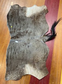 WILDEBEEST BACKSIDE AND TAIL HIDE