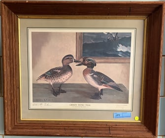 FRAMED ARTHUR R. EAKIN GREEN WING TEAL WARD PRINT