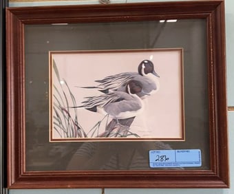 FRAMED ART LAMAY PRINT "PINTAIL PALS"