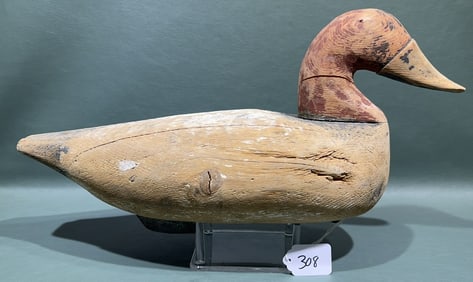 UNKNOWN CANVASBACK DRAKE