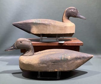 HERTER'S PINTAILS ORIGINAL PAINT