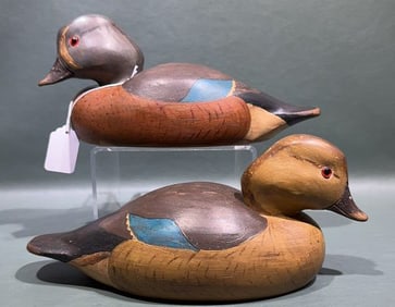 UNKNOWN BLUE-WINGED TEALS