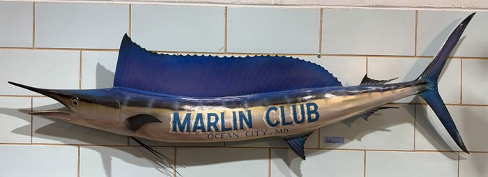 "MARLIN CLUB" OCEAN CITY, MD MOUNTED FISH