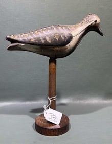 TINNY SHOREBIRD