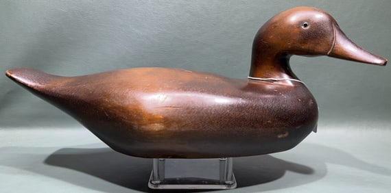 WILDFOWLER MALLARD