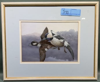 PETER BAEDITA BUFFLEHEADS PRINT