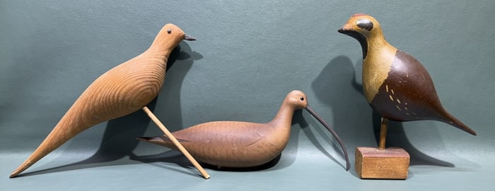 3 VARIOUS UNKNOWN SHOREBIRDS