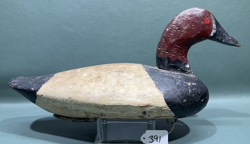 JOHN GLENN CANVASBACK DRAKE