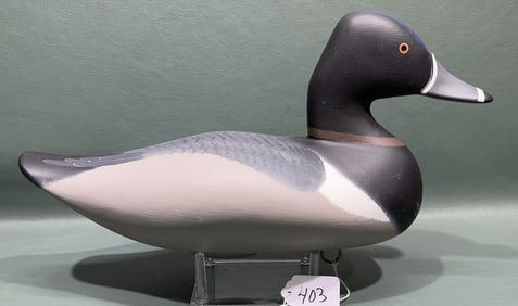 BRIAN BODT RINGNECK DRAKE