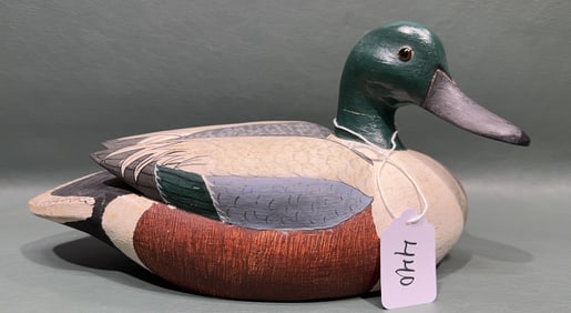 RAY WALKER JR SHOVELER CHINCOTEAGUE