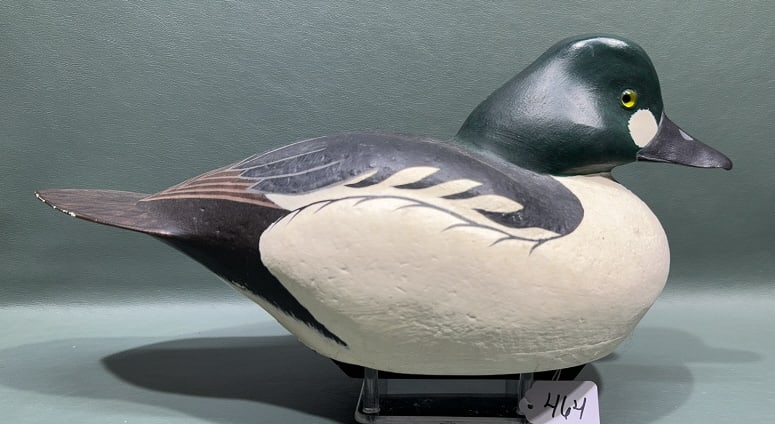 UNKNOWN CORK GOLDENEYE: 16" LONG