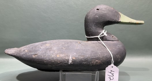 CECIL COUNTY BLACK DUCK