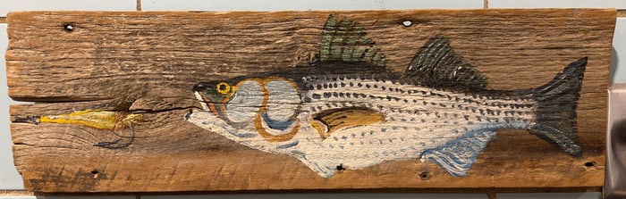 PAINTED ROCKFISH ON BOARD