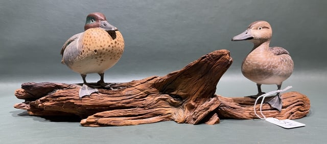 MINIATURE GREEN-WINGED TEAL ON DRIFTWOOD
