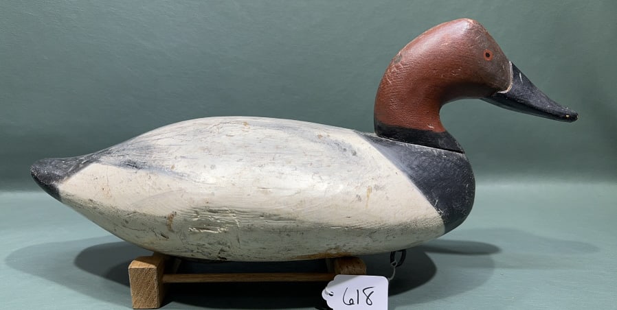 UPPER BAY CANVASBACK DRAKE W/ "H" BRAND: 16"