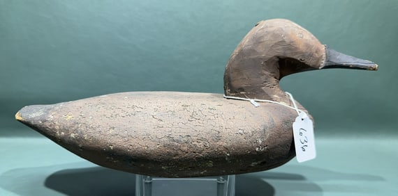 CANVASBACK HEN WORKING DECOY