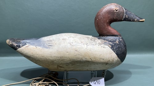 UPPER BAY CANVASBACK DECOY-WEIGHT BRANDED "GT"