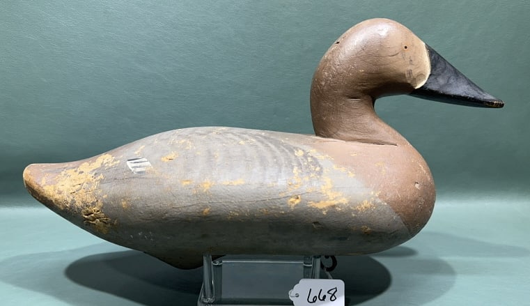 RARE MADISON MITCHELL CANVASBACK IN TUPALO GUM: 16" LONG
