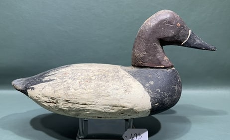 TAYLOR BOYD CANVASBACK W/ WORKING REHEAD & REPAINT