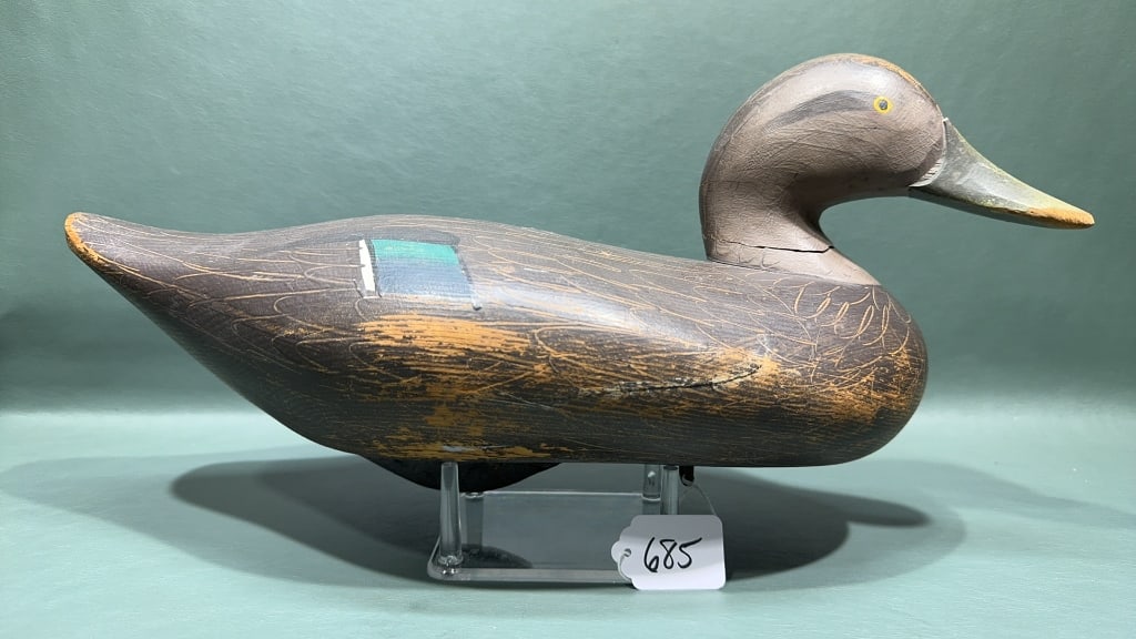 R. MADISON MITCHELL BLACK DUCK W/ TURNED HEAD: 16" LONG