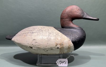 JOHN GRAHAM CANVASBACK DRAKE