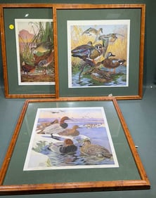 SET OF 3 DUPONT PRINTS BY LYNN BOGUE HUNT