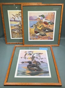 SET OF 3 DUPONT PRINTS BY LYNN BOGUE HUNT