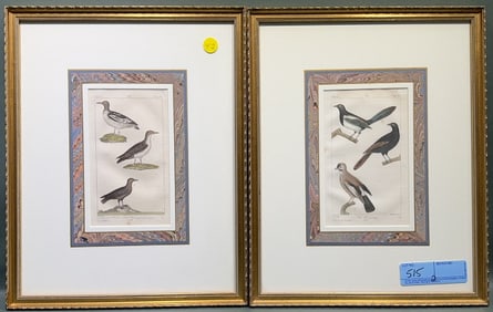 2 EARLY FRAMED BUFFON HAND COLORED BIRD ENGRAVING