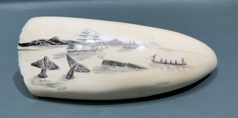 DECORATED SCRIMSHAW WHALE TOOTH: 6-1/2"