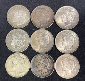 9 VARIOUS MORGAN & PEACE SILVER DOLLARS
