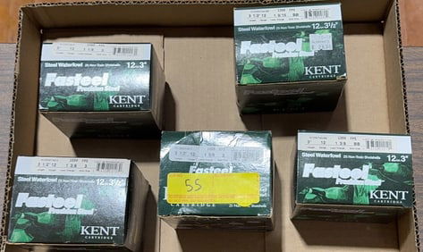 5 BOXES OF 12GA WATERFOWL AMMO