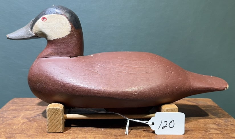 NELSON MINGLE RUDDY DUCK: 12"