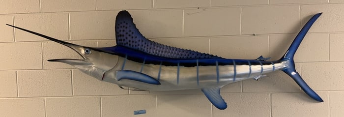 MARLIN / SPEARFISH MOUNT (NO SHIPPING)
